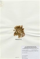 藏品(海木耳)的圖片